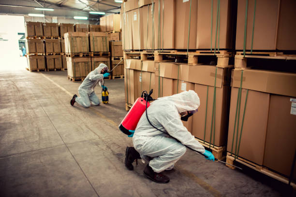 Best Residential Pest Control  in Coram, NY