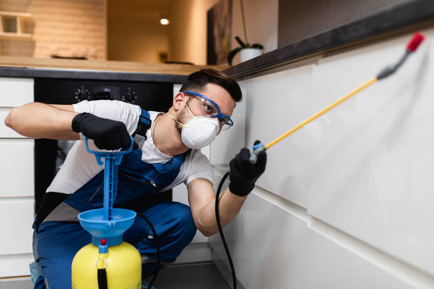 Best Flea Control Services  in Coram, NY