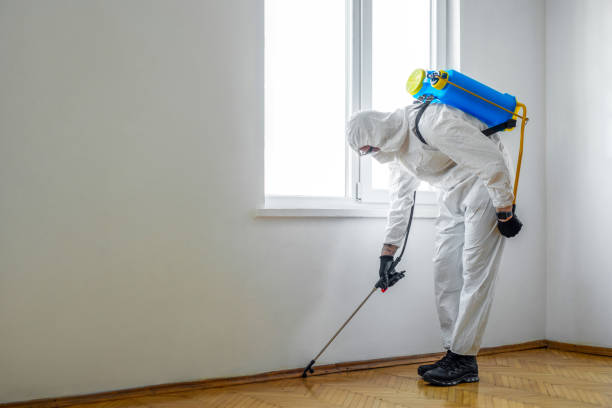 Best Exterminator Services  in Coram, NY