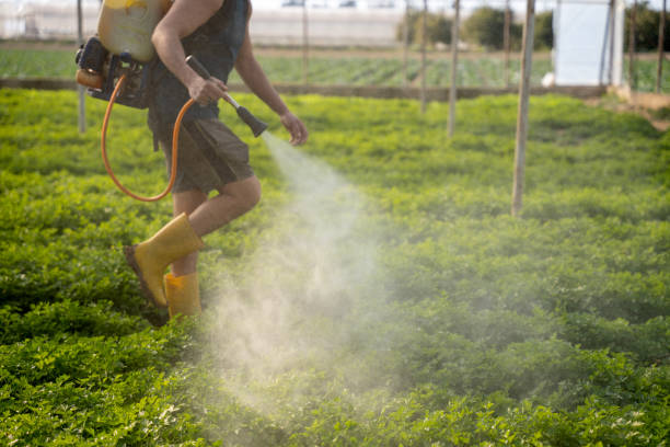 Best Pest Removal Services  in Coram, NY