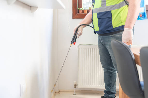Best Local Pest Control Services  in Coram, NY