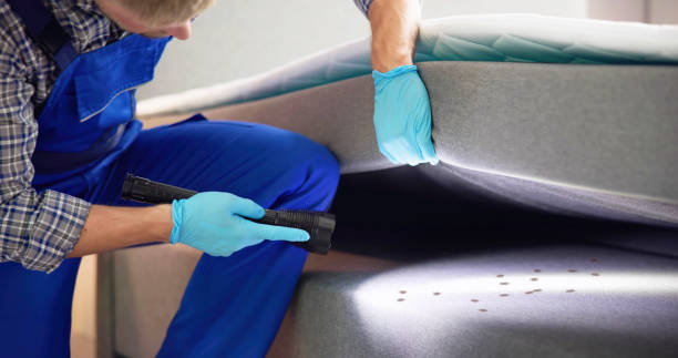 Best Best Pest Control Companies  in Coram, NY