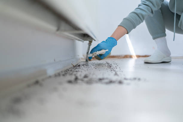 Best Commercial Pest Control Services  in Coram, NY